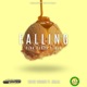 Falling Pink Panda Remix Single