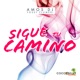 Sigue Tu Camino feat Yosef Flumeri Single