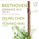 Beethoven Serenade for Flute and Piano in D Major Op 41