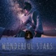 Wonderful Stars feat Ripple Single