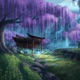 after the rain