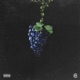 The Grapevine