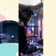Lofi Grandadbod Single