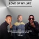 Love Of My Life feat Calvin Single