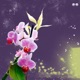 Flowers Single