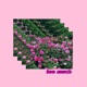 Too Much feat King Theta Single