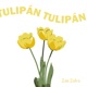 Tulipán Single