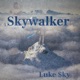 Skywalker Single