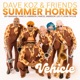 Vehicle by Summer Horns feat Marcel Anderson Marcus Anderson Jeff Bradshaw Evan Taylor Leo P Single
