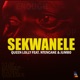 Sekwanele feat Ntencane Jumbo Single