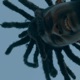 Off the Top Single