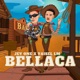 Bellaca Single