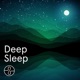 Deep Sleep