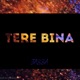 Tere Bina feat Jassa Single
