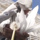 Рыцарь Кубков Single