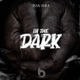 In the Dark Single