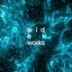 Underwater Single