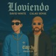 Lloviendo Single