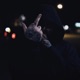 I M FADED I M F D UP Single