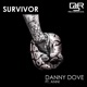Survivor feat Anni Single