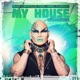 My House Remixes Vol 2 feat Nina Flowers