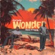 Wonder feat Akesse Brempong Single