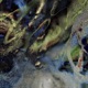 Mind Wash F W Us Single