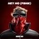 Hey Ho FØNK Single
