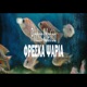 Φρεσκα Ψαρια Single