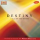 Destiny Call of the Divine
