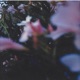 Pieces Single