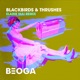 Blackbirds Thrushes Elaine Mai Remix Single