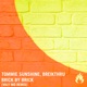 Brick by Brick Valy Mo Remix Single