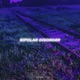 Bipolar Disorder Single