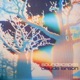 Soundscapes 2022 Remastered Version