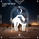 Take Me Now Single