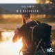 Big BackPack Single