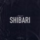 Shibari Single