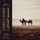 Cairo s Scent Single