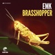 Brasshopper Single