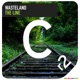 The Line Single
