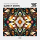 Slow It Down Single