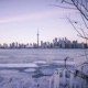 Toronto Cold Single