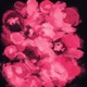 the LUV EXCHANGE EP
