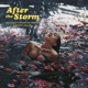 After The Storm feat Tyler The Creator Bootsy Collins Single