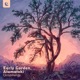 Ornaments Single