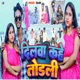 Dilwa Kahe Todle Single