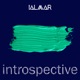 Introspective Single