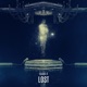 Lost Single