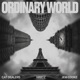 Ordinary World Single